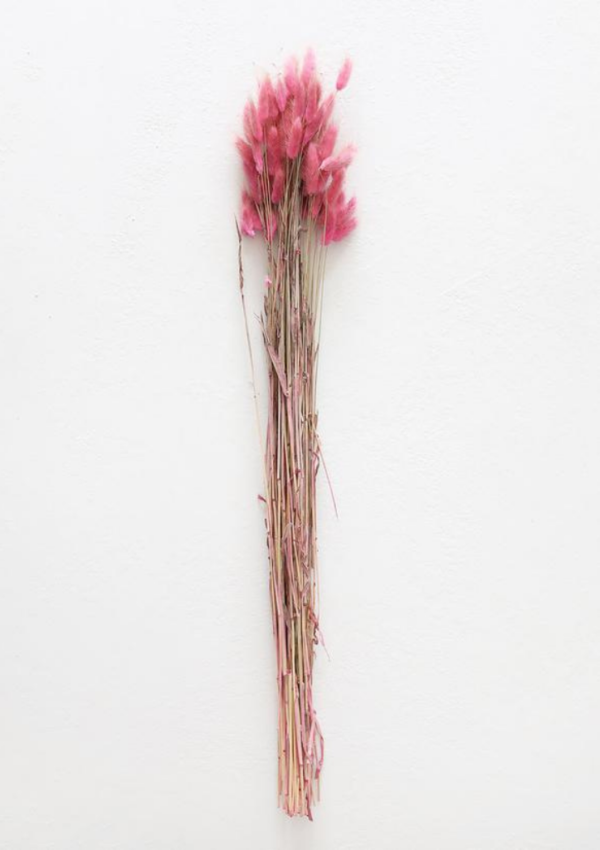 Molho de Bunny Tail Rosa: Adicione um Toque de Encanto ao seu espaço