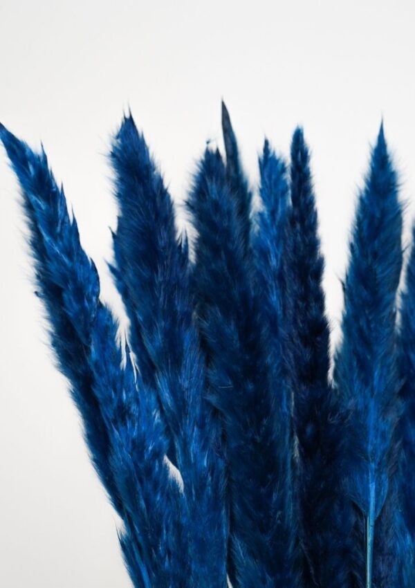 Molho de Pampas Pequenas Azuis: Adicione um Toque de Azul à sua Decoração