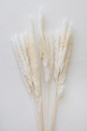 Decoração Minimalista com Pampas Pequenas na Cor Branca