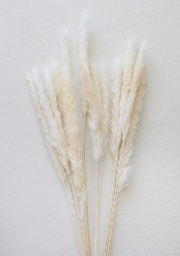 Decoração Minimalista com Pampas Pequenas na Cor Branca