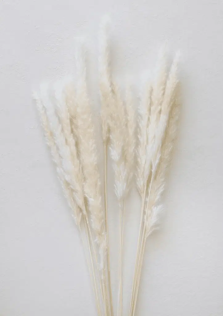Decoração Minimalista com Pampas Pequenas na Cor Branca