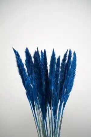 Molho de Pampas Pequenas Azuis para Decoração