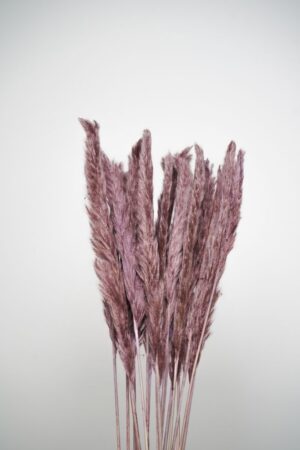 Molho de Pampas Pequenas Lilás para um Toque Delicado na Decoração