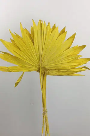 Folhas de Palmeira Amarela: Luminosidade Tropical para a sua Decoração