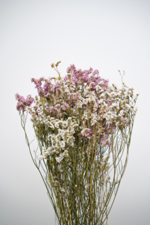 Ramo de Limonium Natural: Beleza Sutil para a sua Decoração