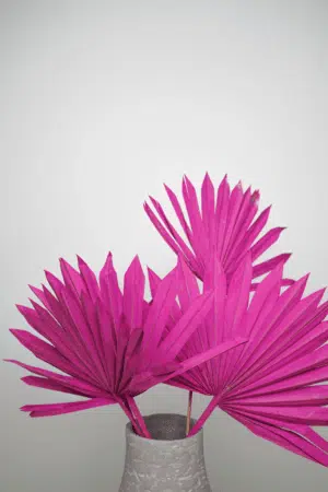 Folhas de Palmeira Rosa: Toque Romântico para a sua Decoração