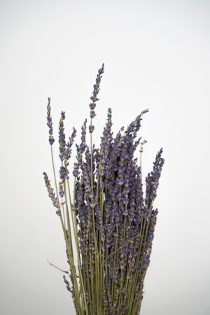 Ramo de Lavanda Natural Seca: Perfume e Elegância para sua Decoração