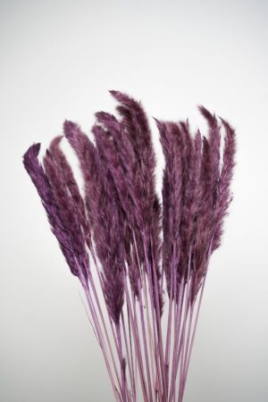 Ramo de Pampas Pequenas Roxo para Decoração Vibrante