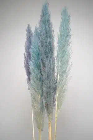 Pampas Naturais Azuis: Um Toque Sereno na Decoração