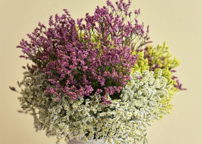 Colecao de flores secas naturais preservadas para decoracao de interiores modernos