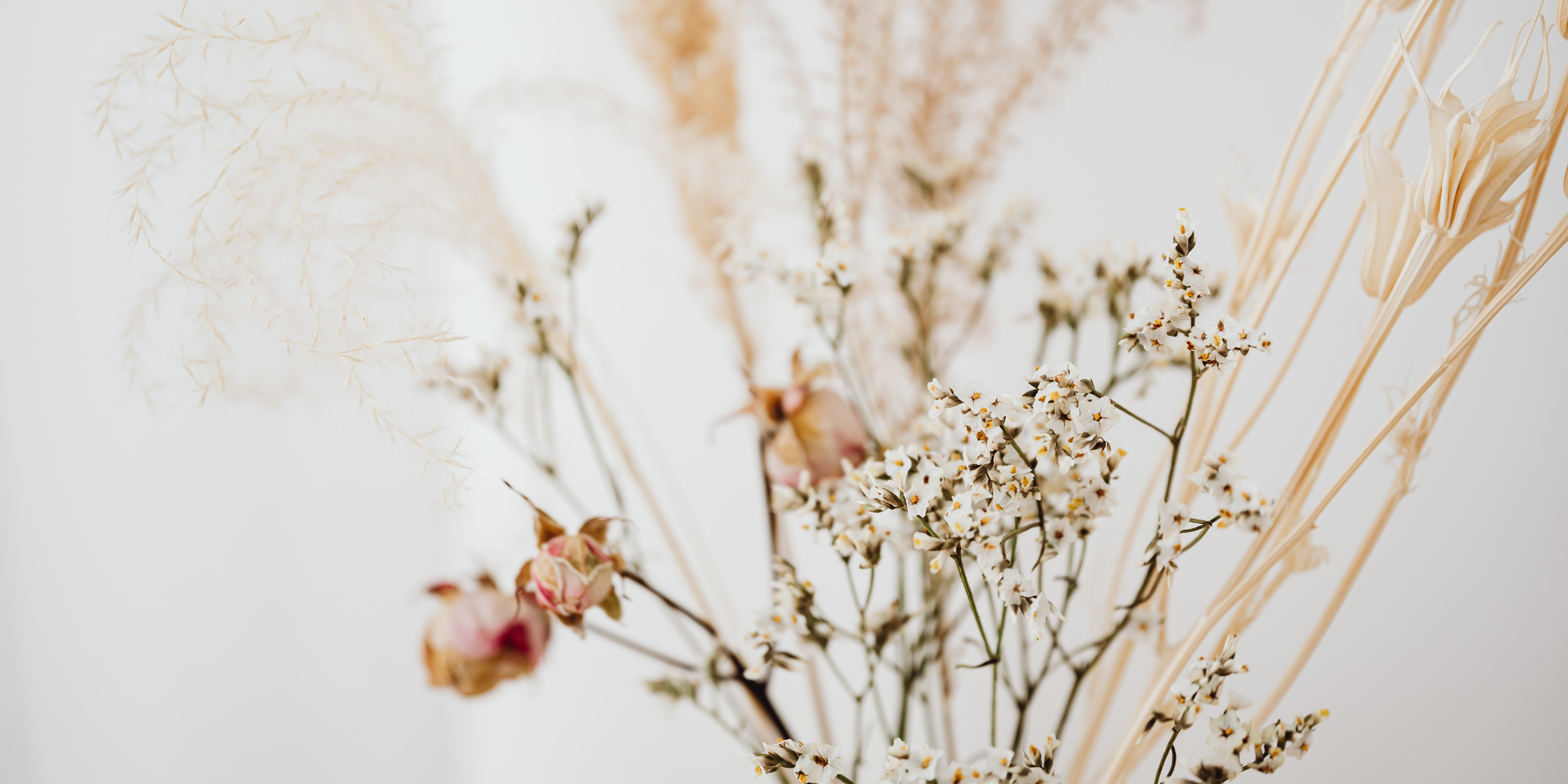 Um arranjo minimalista de flores secas, destacando a beleza simples de plantas florais, galhos, ramos, pétalas e outros tipos de flores.