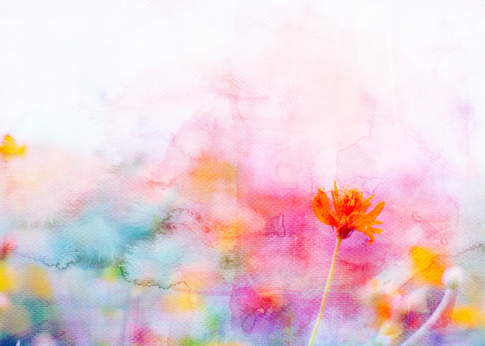 Pintura delicada de uma flor seca rosa em aquarela, representando a arte e a beleza das flores secas.