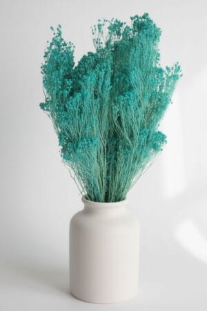 Bloom Bloom Ciano CARIBE