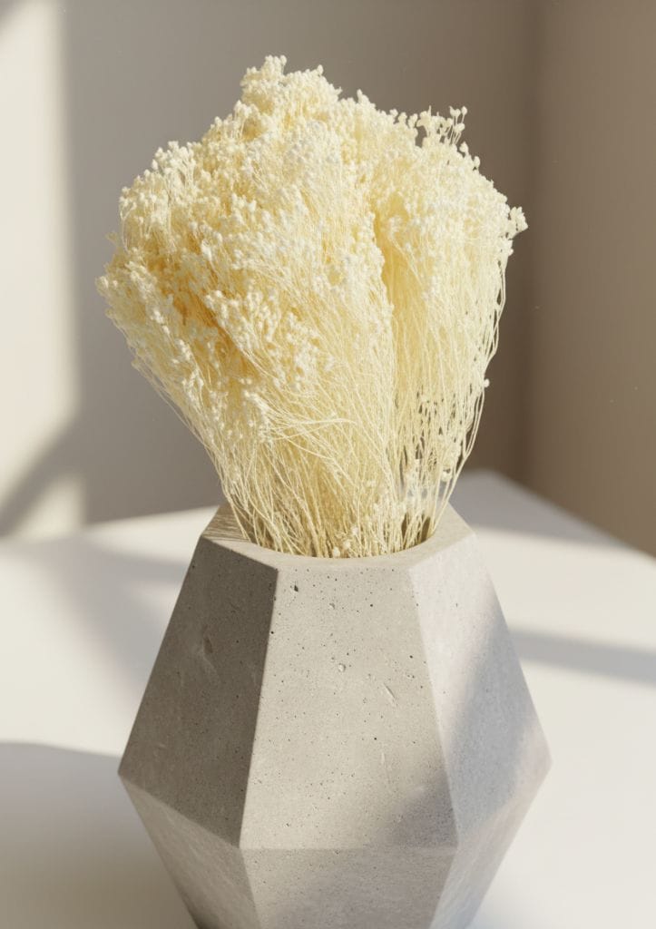 Bloom Bloom Brancas SANTA MONICA - Image 4