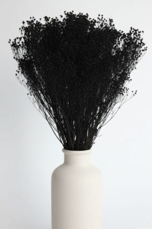 Broom Bloom Preto MARATHIA
