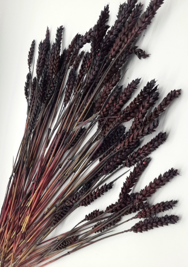 Molho de Trigo Natural Castanho para uma Decoração Vibrante