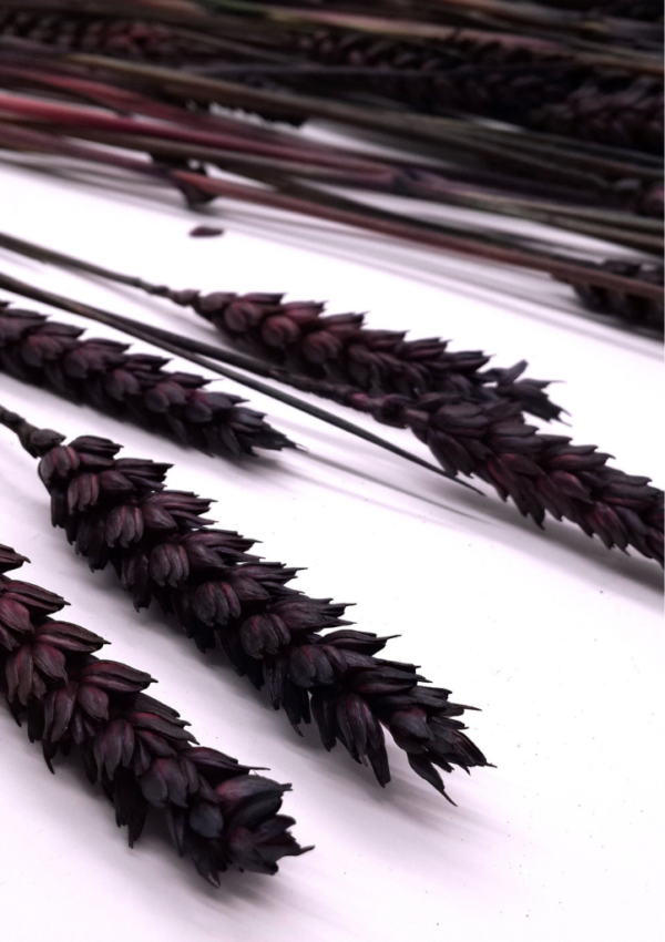 Molho de Trigo Natural Castanho para uma Decoração Vibrante