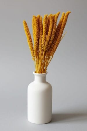 Setaria Natural Amarela GRACE