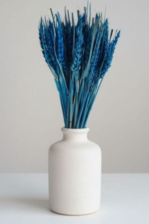 Trigo Natural Azul FLAMENCO