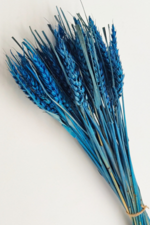 Molho de Trigo Natural Azul para uma Decoração Vibrante