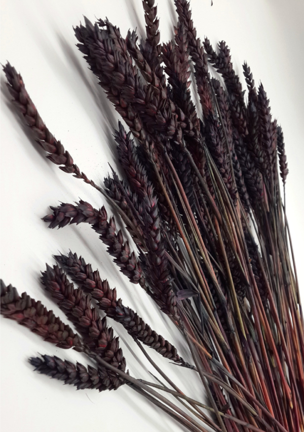 Molho de Trigo Natural Castanho para uma Decoração Vibrante