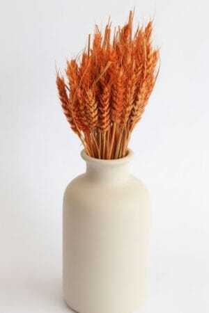 Trigo Natural Salmão IPANEMA