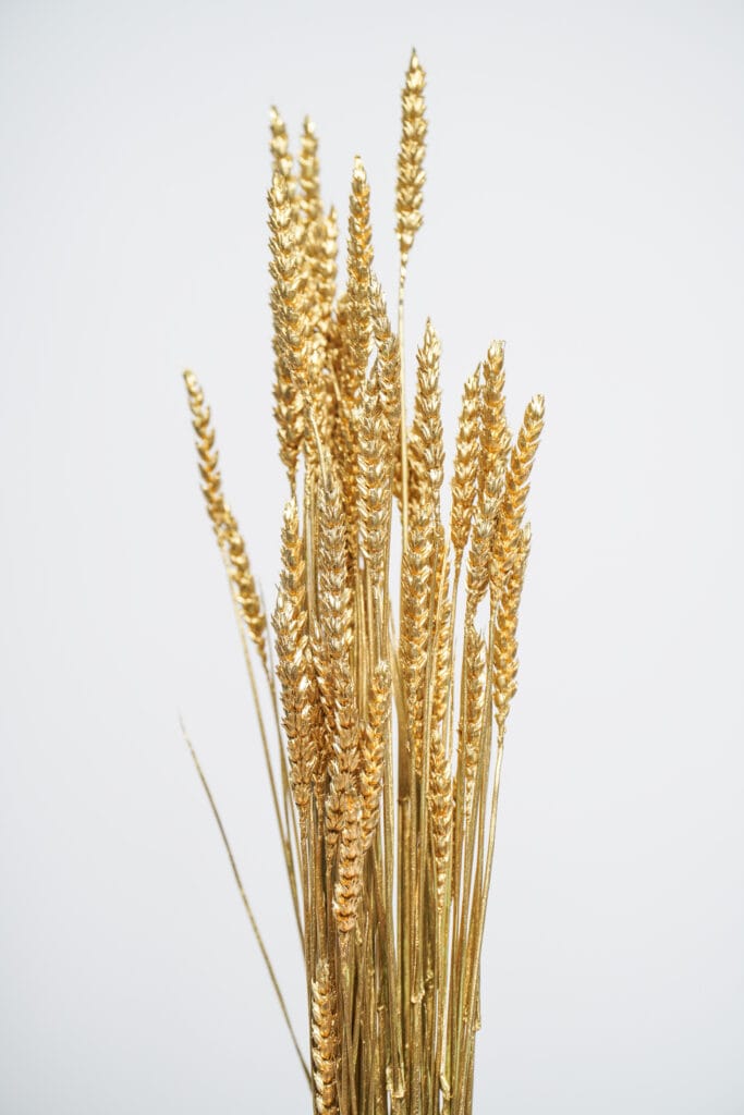 Molho de Trigo Natural Dourado para uma Decoração Vibrante