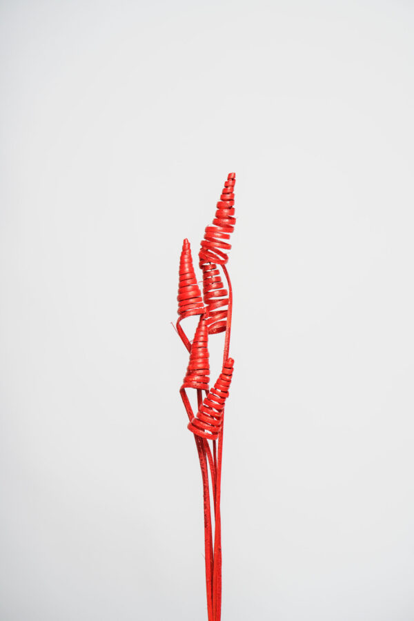 Molho de Cane Cone Natural Vermelho para uma Decoração Vibrante