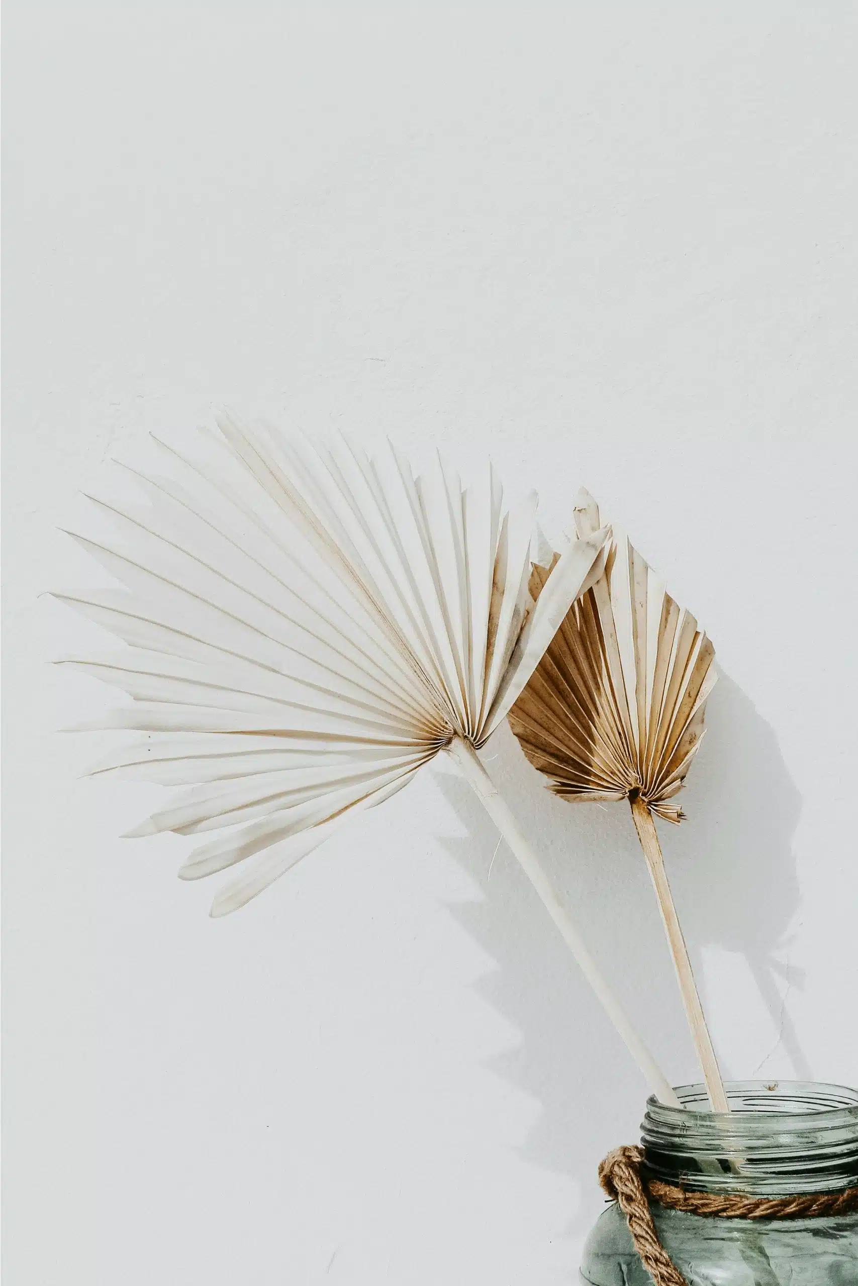 Folhas de Palmeira Brancas para uma Decoração Vibrante