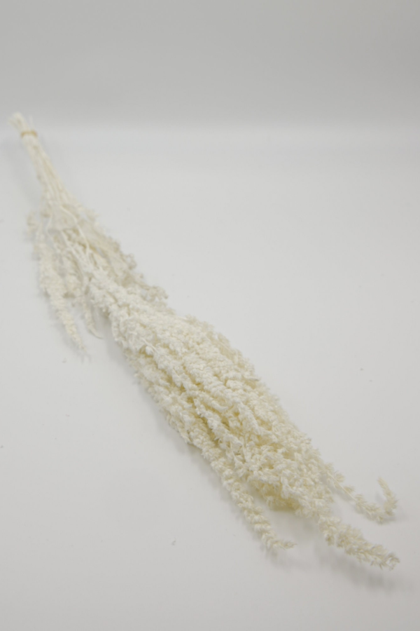 Molho de Amarantos Natural Branco para uma Decoração Vibrante