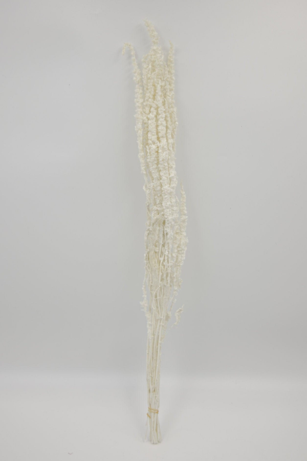 Molho de Amarantos Natural Branco para uma Decoração Vibrante