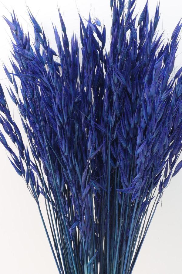 Molho de Aveia Natural Azul para uma Decoração Vibrante