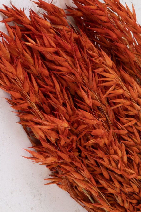 Molho de Aveia Natural Laranja para uma Decoração Vibrante