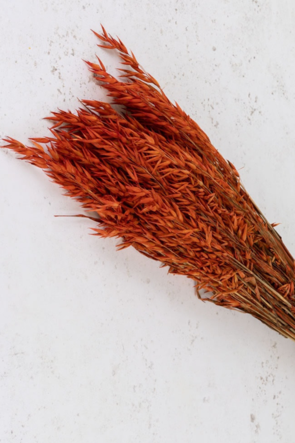 Molho de Aveia Natural Laranja para uma Decoração Vibrante