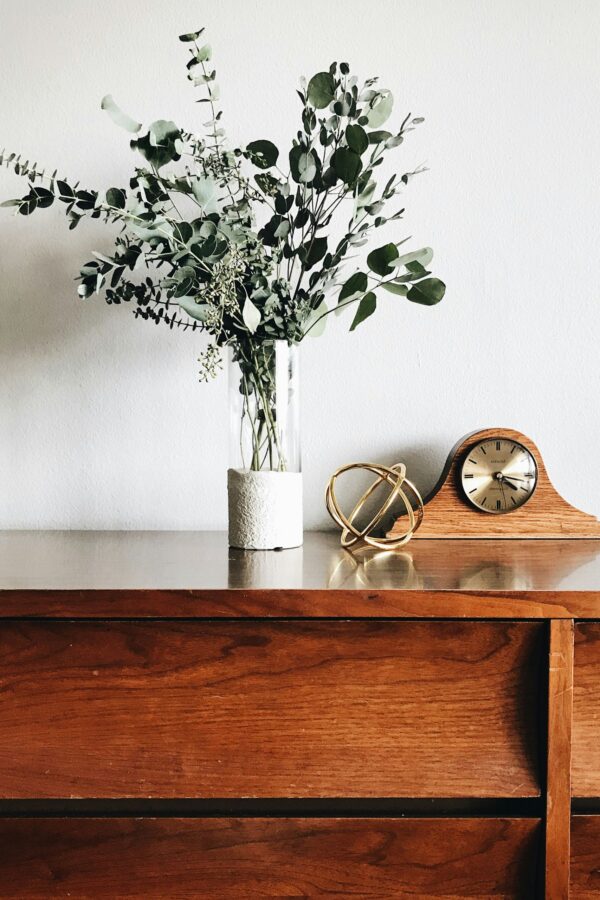 Molho de Eucalipto Natural Preservado para uma Decoração Vibrante