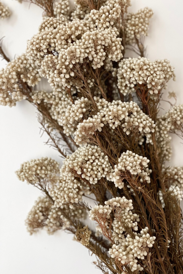 Molho de Flor de Arroz Natural Branco para uma Decoração Vibrante