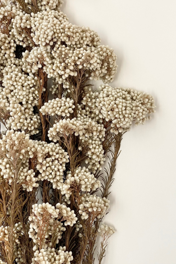 Molho de Flor de Arroz Natural Branco para uma Decoração Vibrante