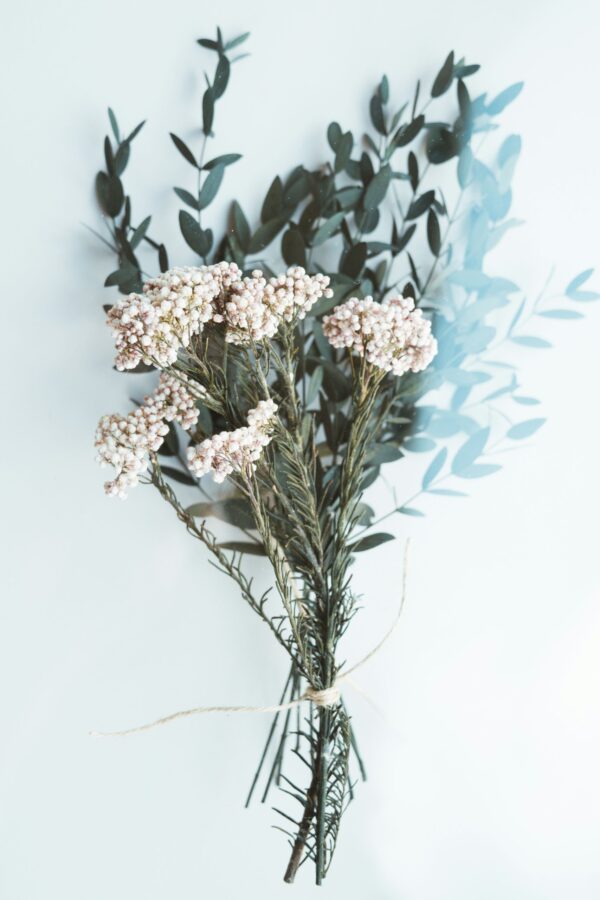 Molho de Flor de Arroz Natural Branco para uma Decoração Vibrante