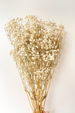 Molho de Gypsophila Natural Preservada para uma Decoração Vibrante