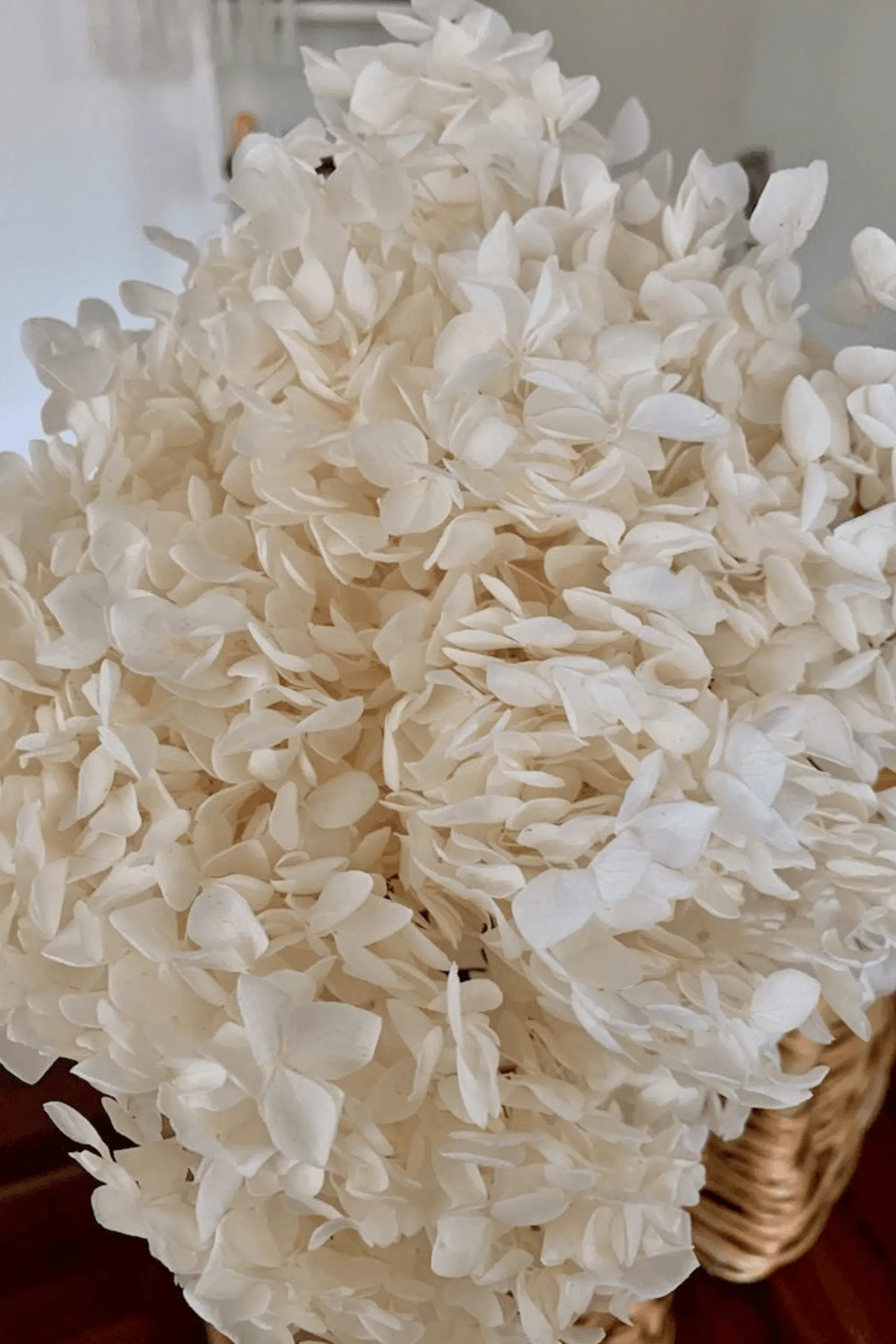 Molho de Hydrangea Natural Branco para uma Decoração Vibrante
