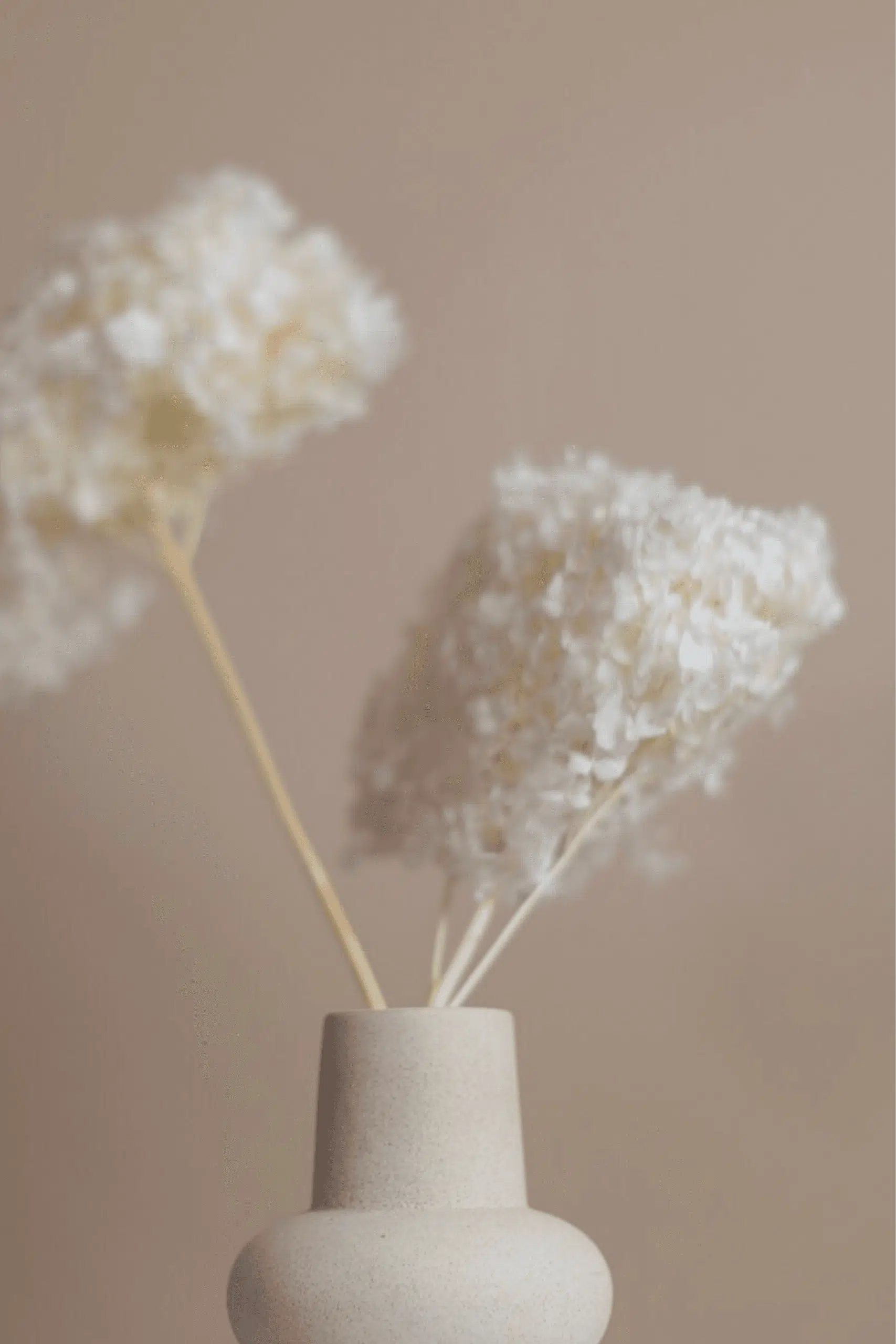 Molho de Hydrangea Natural Branco para uma Decoração Vibrante
