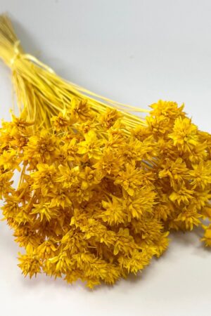 Molho de Flor da Colina Amarelo para uma Decoração Vibrante