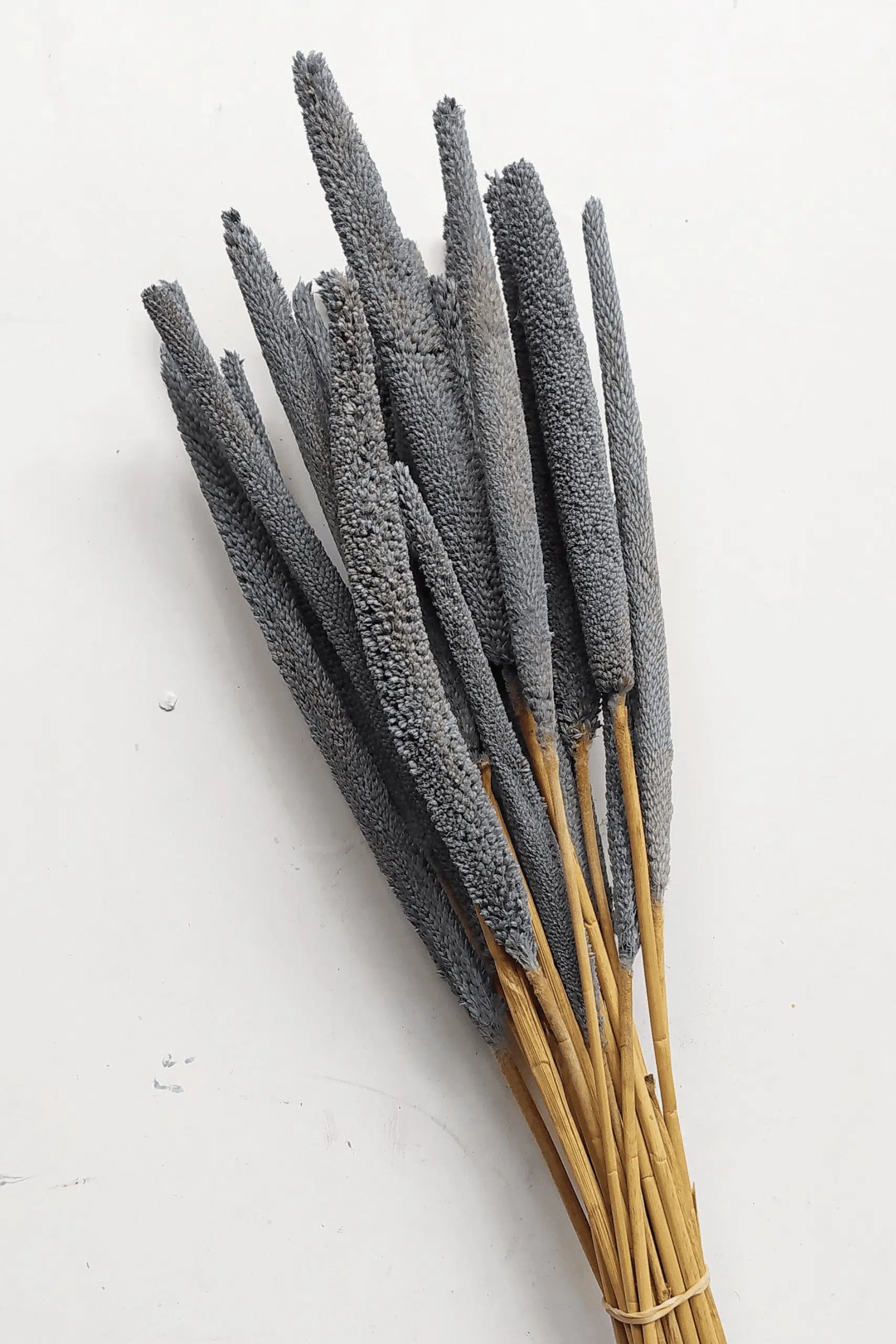 Conjunto Babala Natural Cinzento para uma Decoração Vibrante