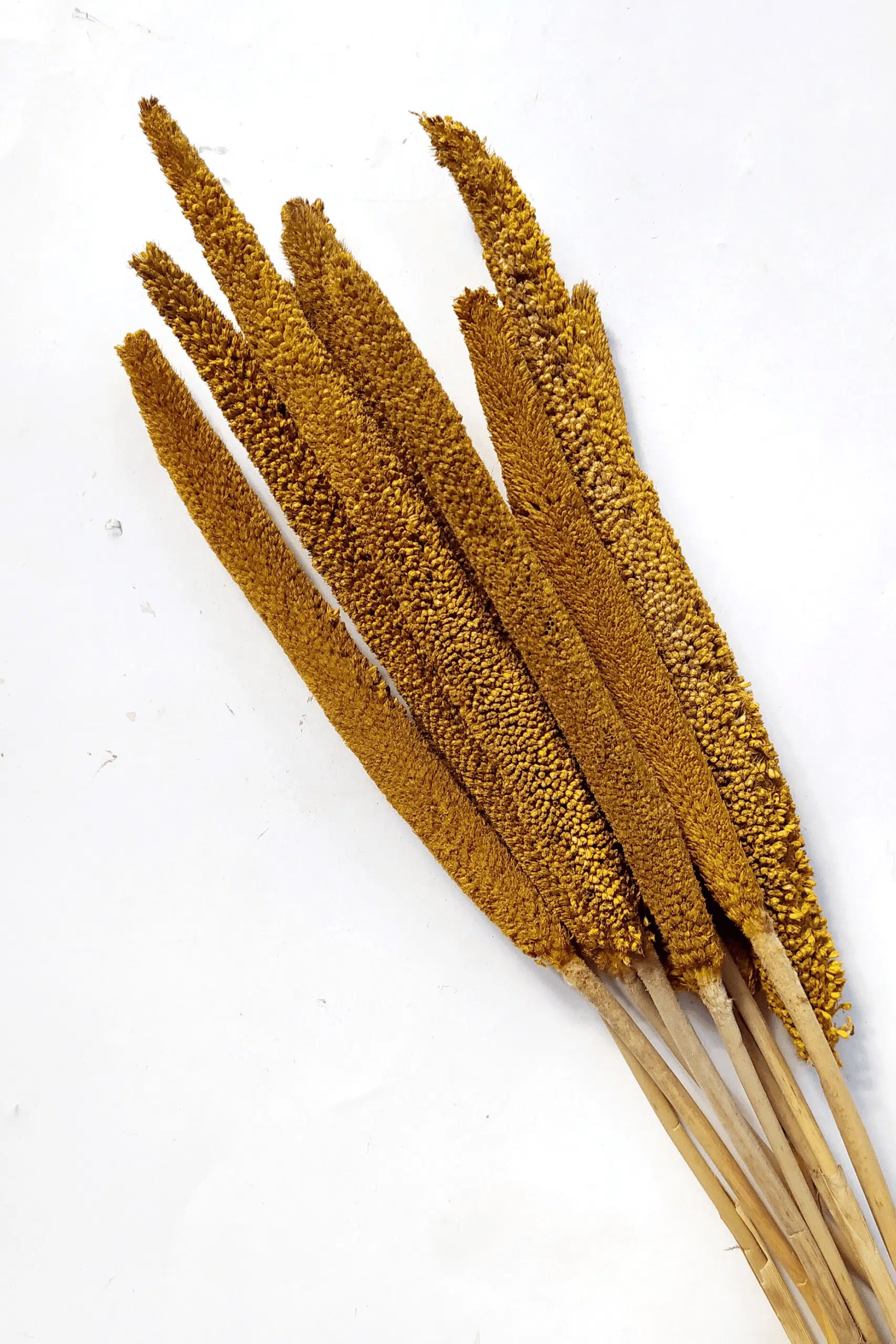 Conjunto Babala Natural Laranja para uma Decoração Vibrante