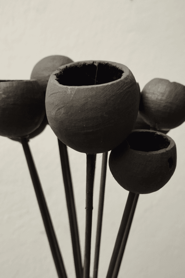 Bell Cup Preto AWAROA