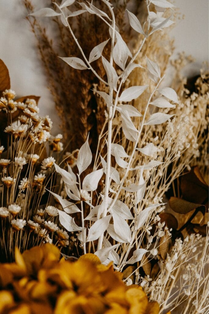 Ruscus Natural Branco para uma Decoração Vibrante