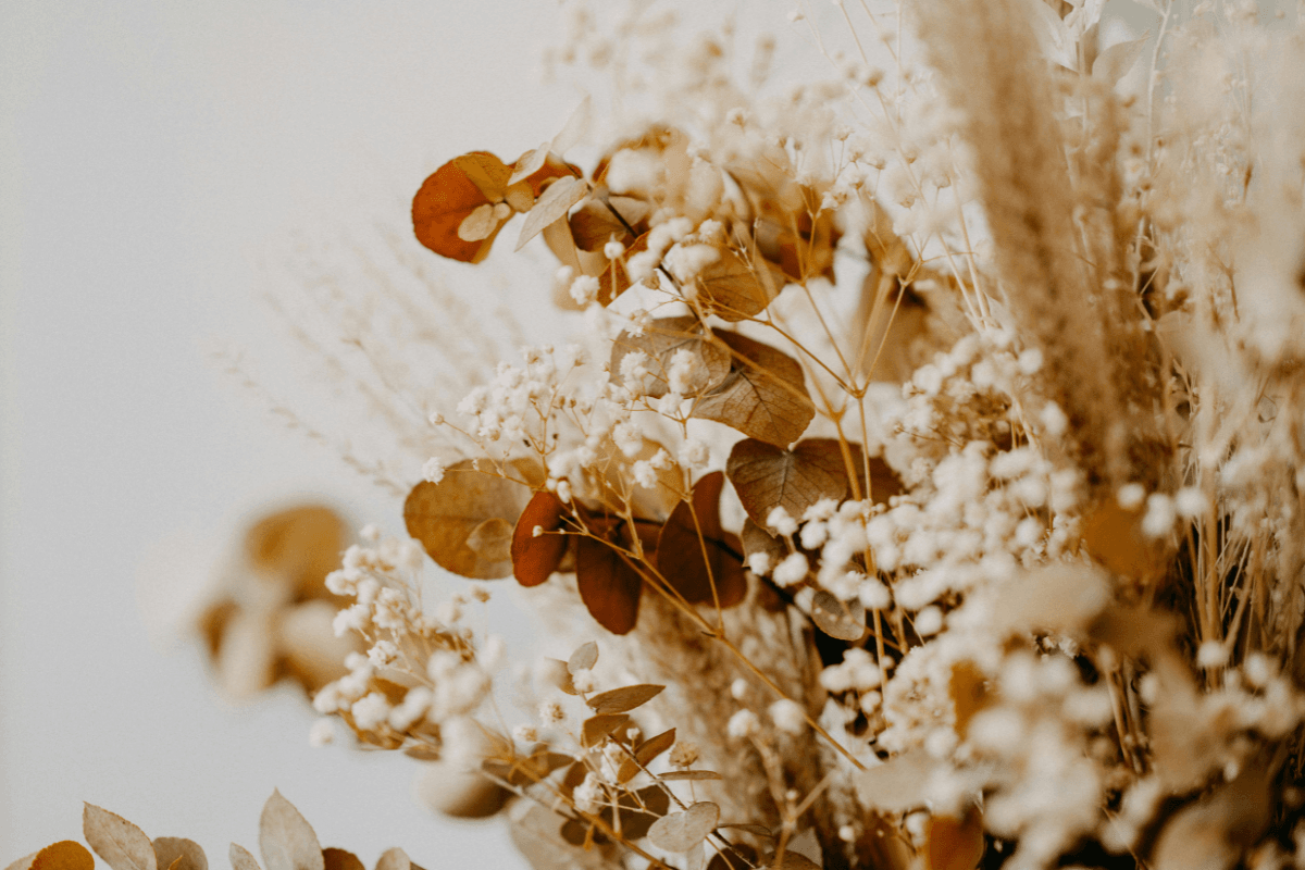 Flores Secas em Portugal: Guia Completo de Decoração Sustentável e Tendências 2025