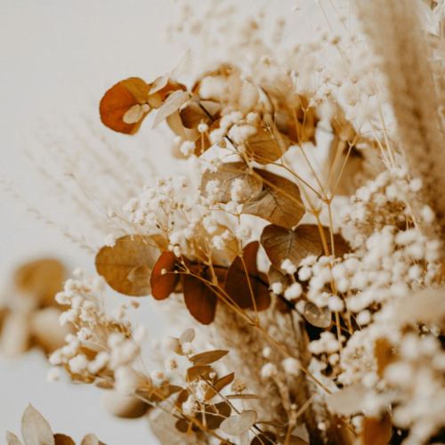 Flores Secas em Portugal: Guia Completo de Decoração Sustentável e Tendências 2025
